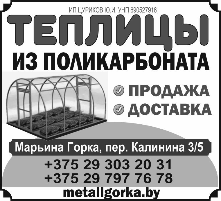 23 цуриков
