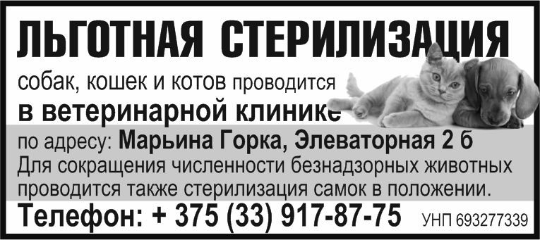 35 ветклиника