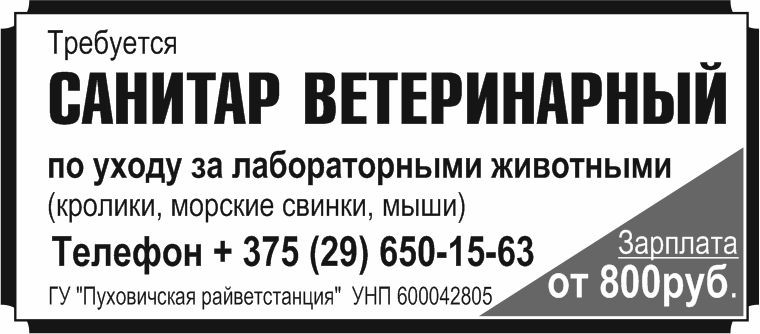 47 райветстанция