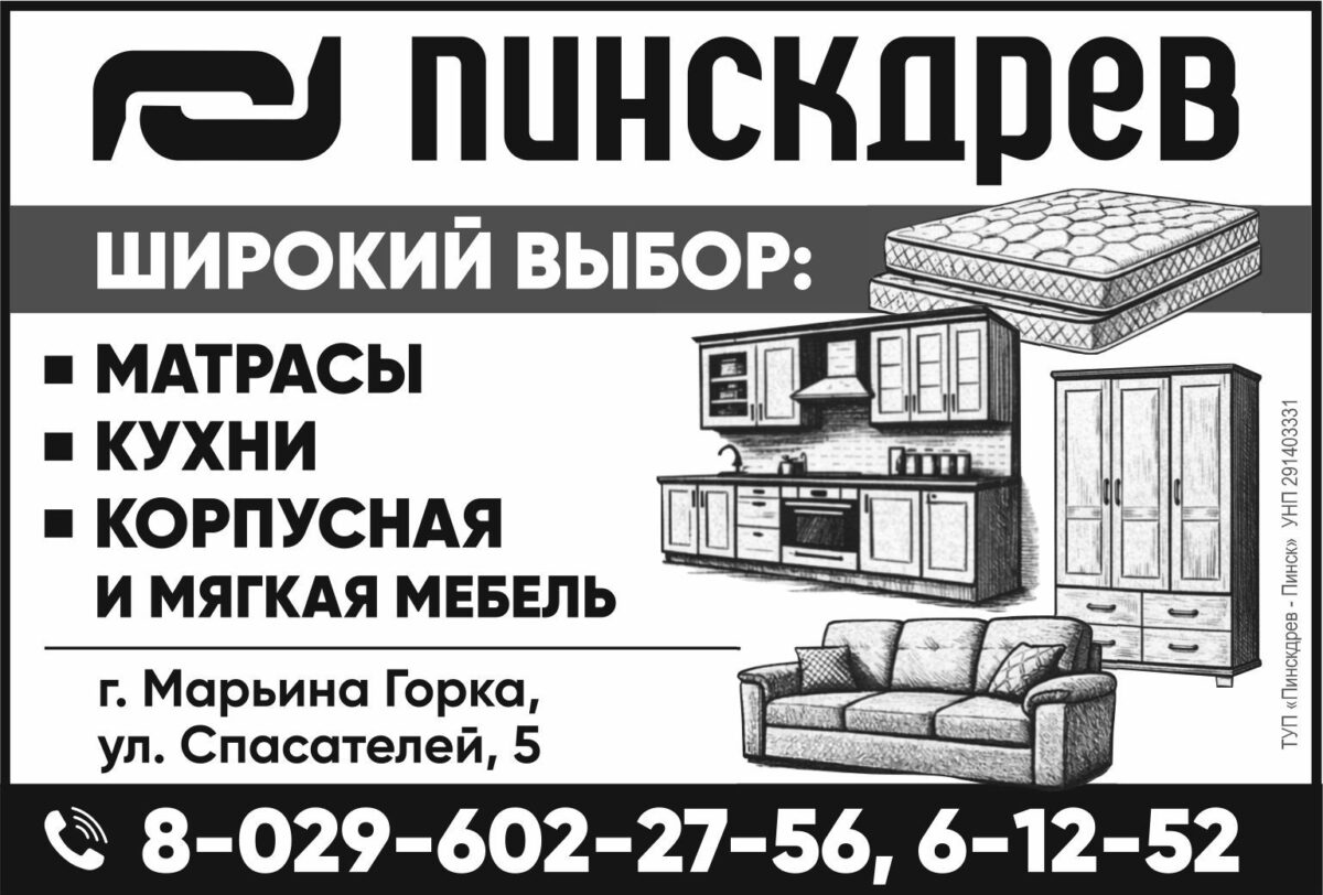 17 ПИНСКДРЕВ