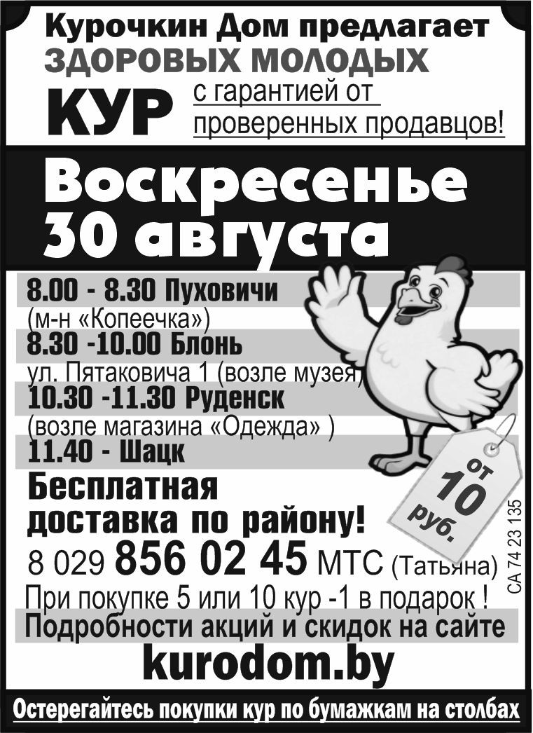 67 баранов